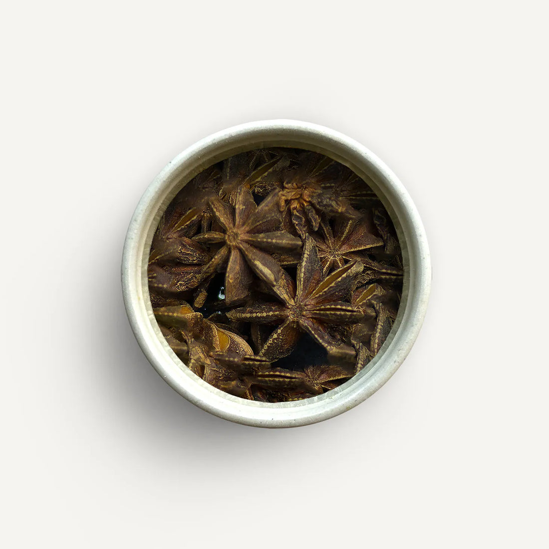 Sternanis - Herbertha