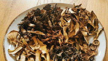 Getrocknete Pilze